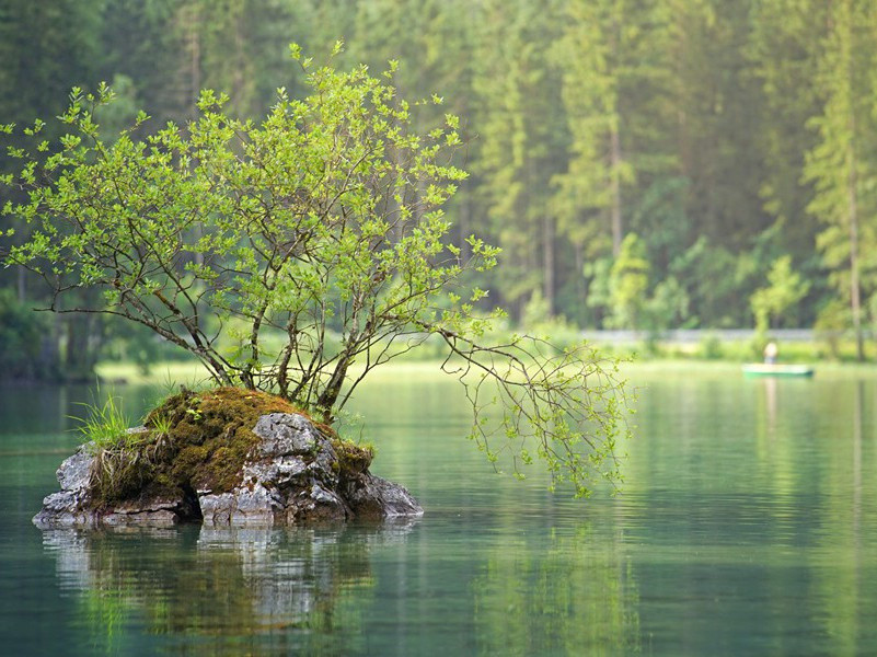 八哀诗·故秘书少监武功苏公源明