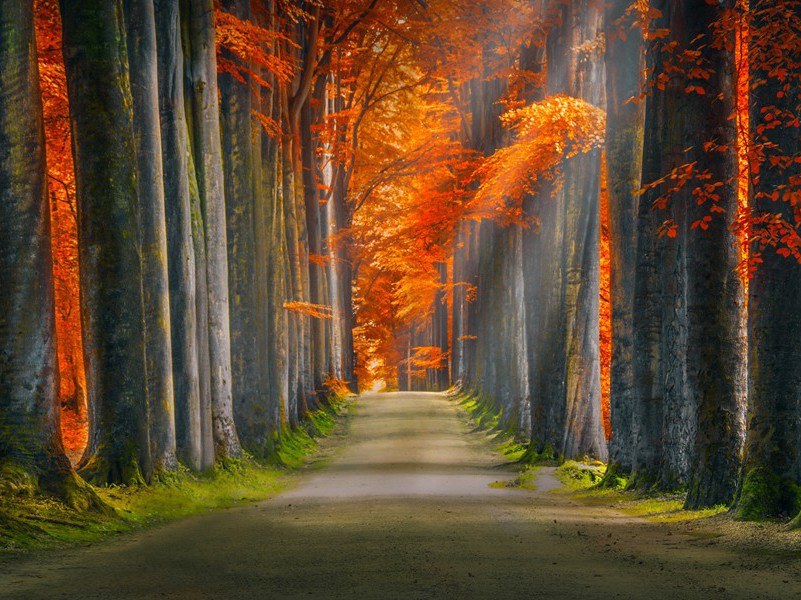 江雨有怀郑典设