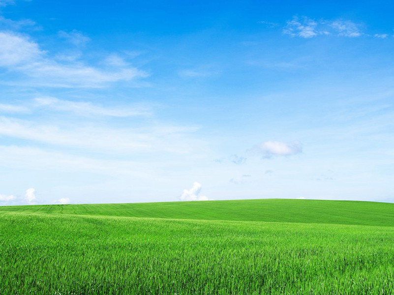 行官张望补稻哇水归