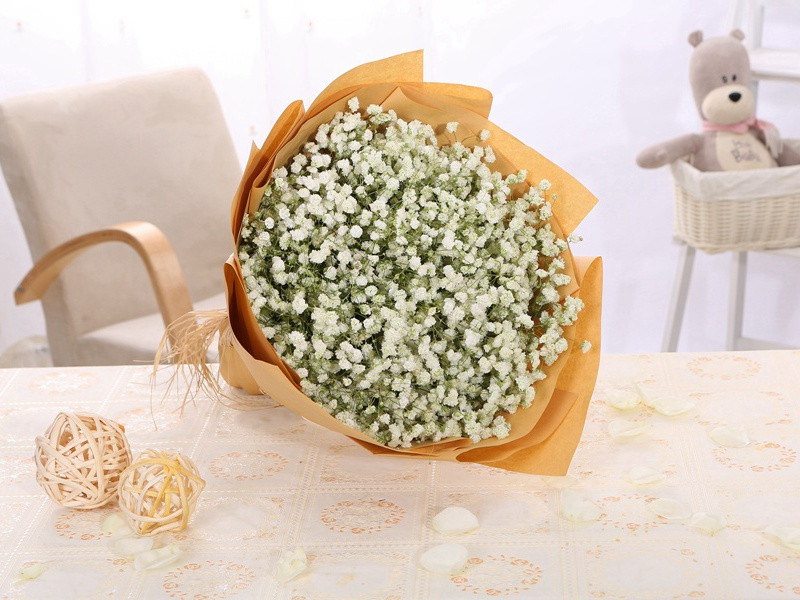 题张氏隐居二首