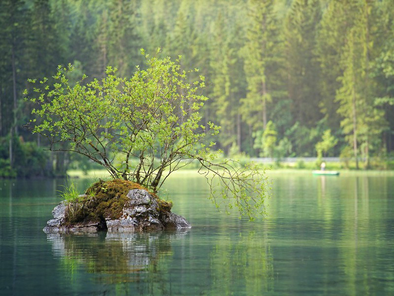 暇日小园散病将种秋菜督勒耕牛兼书触目