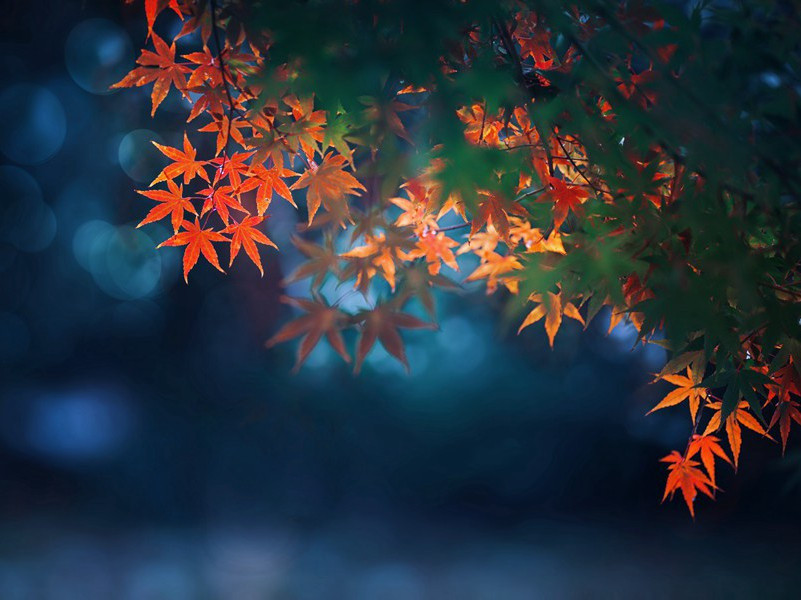 同元使君舂陵行并序