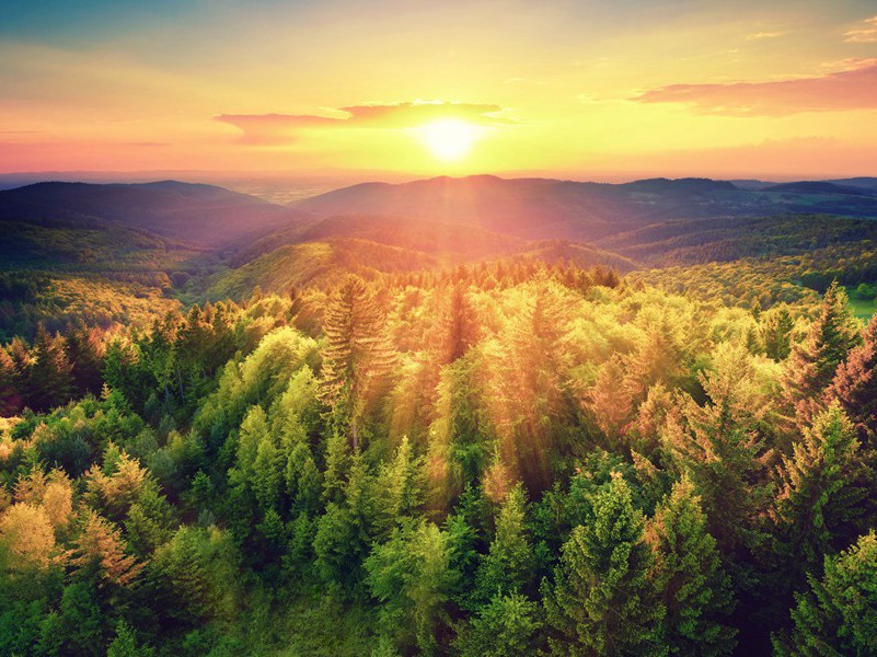 返照·返照开巫峡