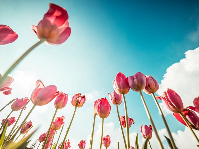 夜·绝岸风威动