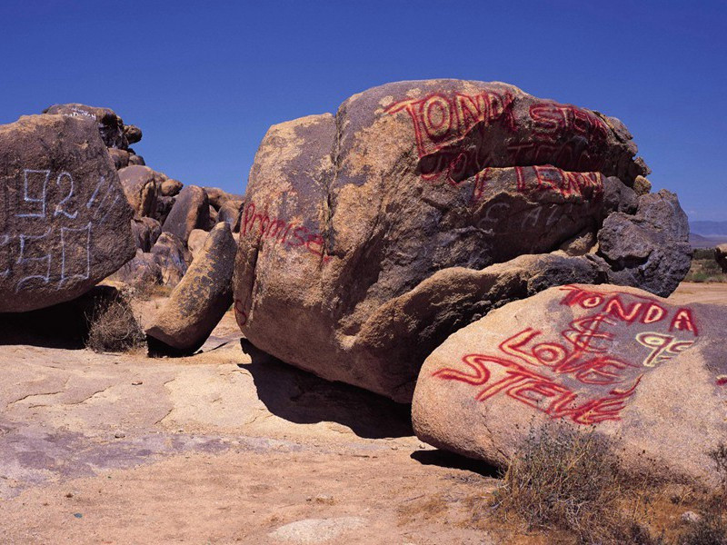 凭孟仓曹将书觅土娄旧庄