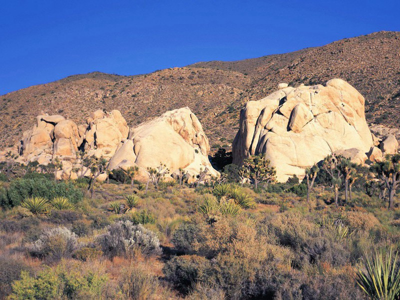 晚晴吴郎见过北舍