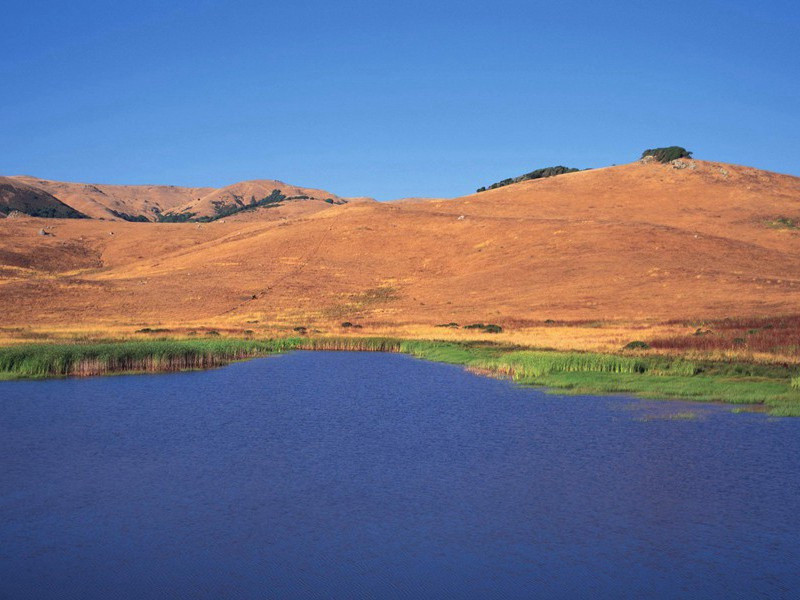 杜甫的悲剧结局