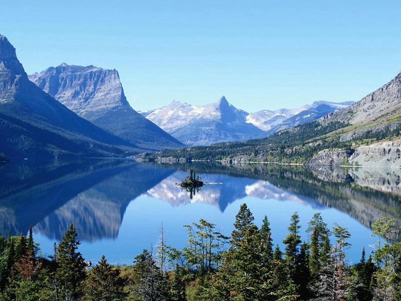 寒雨朝行视园树
