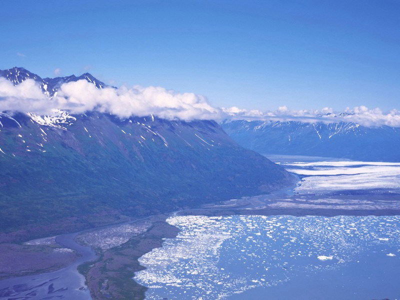 题壁上韦偃画马歌