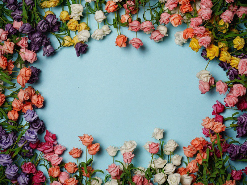 观薛稷少保书画壁