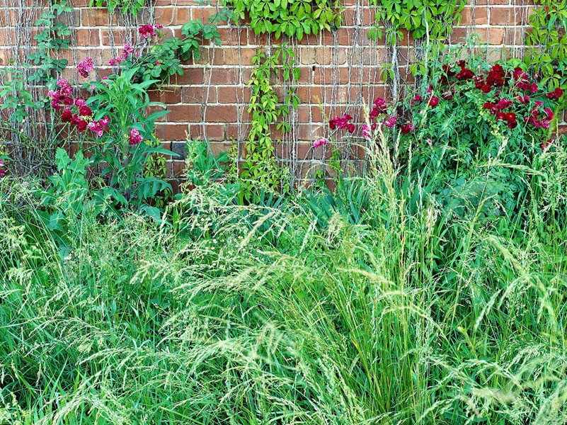 八月十五夜月二首