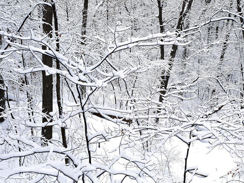 赠李八秘书别三十韵