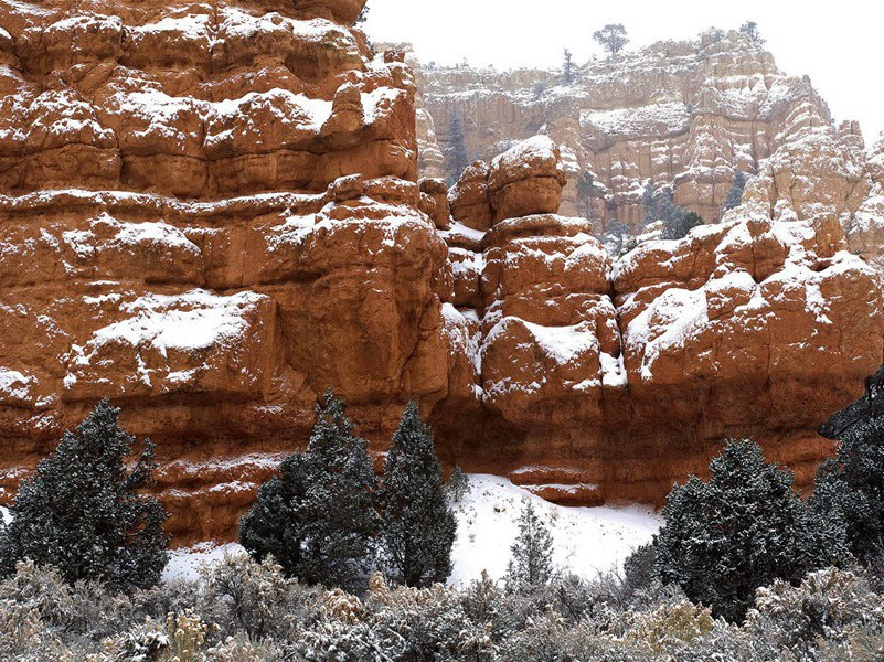 季秋苏五弟缨江楼夜宴崔十三评事韦少府侄三首