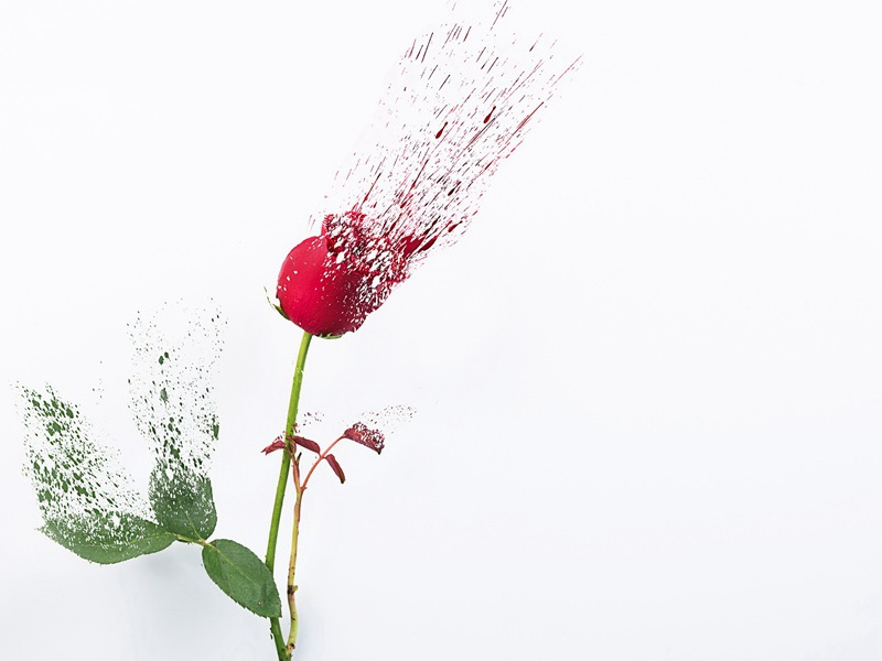 戏寄崔评事表侄苏五表弟韦大少府诸侄