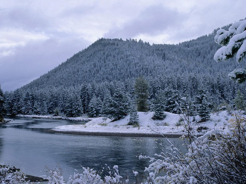 创作巅峰：“三吏三别”(杜甫故事)
