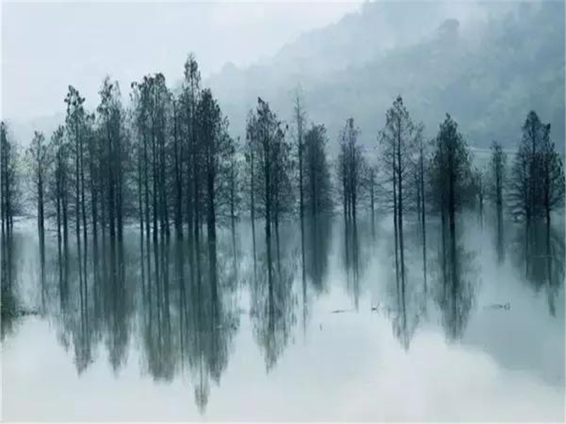 故武卫将军挽词三首