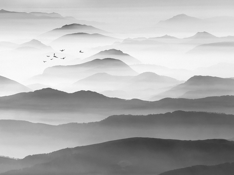 赠郑十八贲(云安令)