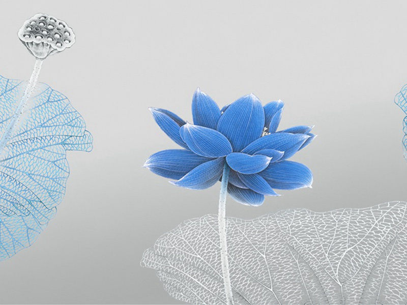 桃竹杖引赠章留后